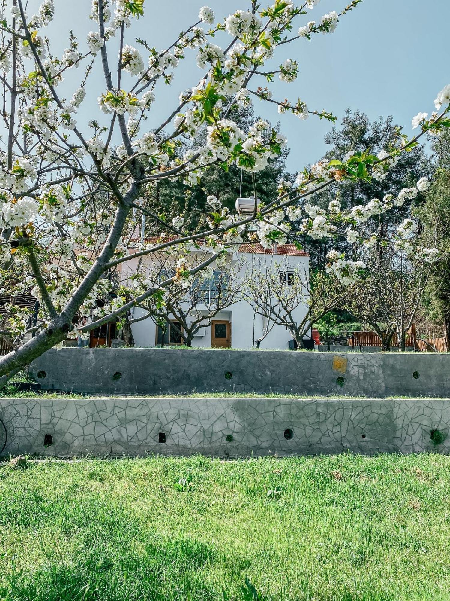 Milea Mansion Villa Limassol Exterior photo